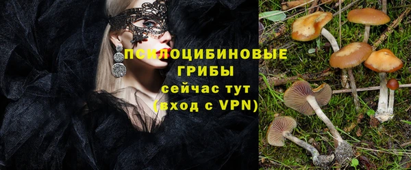 таблы Зеленокумск