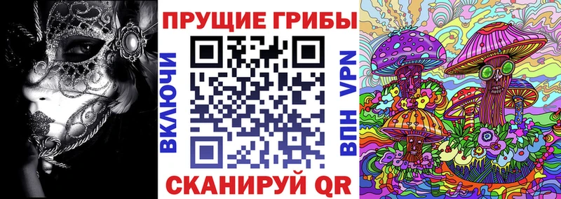 даркнет сайт  дарк нет Telegram  hydra рабочий сайт  Псилоцибиновые грибы прущие грибы  Назрань 
